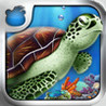 Tap Reef Image