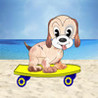 iCrazyDog Image