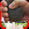 A COW MILK Image