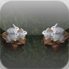 Mancala Bunny Image