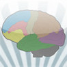iMemorize Image