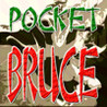 Pocket Bruce Image