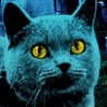 Pet Sematary Image