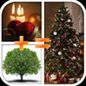 2 Pictures - find the correct combination Image