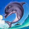 Ecco the Dolphin Image