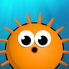 Urchin Image