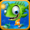 Fish Crush HD Image