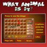 What Animal is it Image
