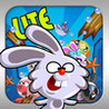 Rabbit Man Image