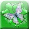 Butterfly Puzzle Image