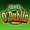 Reels O Dublin - HD Slot Machine Image