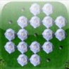 a White Rose Peg ! Image