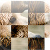 SlideTiles Image