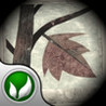 Save Leaves Image