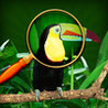 Escape from Rio de Janeiro HD Image