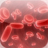 Cardiovascular Quiz Image
