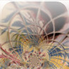 Origos Image