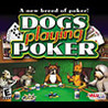 Dogs Playing Poker Image
