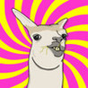 ola k ase play or what Image