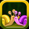 Snail Tale Image