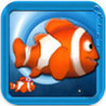 A Cool Fish Image