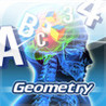 Brain Fever Geometry Image