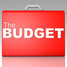 The Budget Game Image