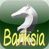Banksia - Big Chess database Image
