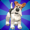 Agility Dogs Image