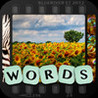 PicWords Image