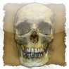 Dead Man's Dungeon Image
