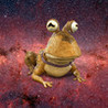 Psychedelic Frog Adventure Image