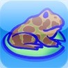Leap Frogs Image