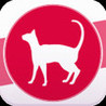 CAT THE QUIZ - Are You Knowledgeable About cats? Image