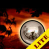 Labyrinth O Lite Image