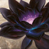 MTG Price Image