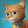 Touch Pets Cats Image