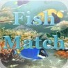 FishMatch Image