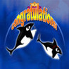 Tour of Orca Image