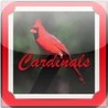 St. Louis Cardinals Baseball Trivia Image