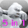 yeti 5in1 Image