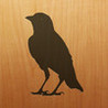 Blackbird! Image