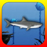 Tap Shark - The Hungry Fish Image