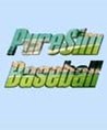 PureSim Baseball Image