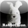 Rabbit Run Image