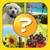 4 Pics 1 Word Puzzle: More Words Image