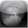 DolphinFlip Image