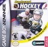 Backyard Hockey Image