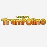 Trampoline Image