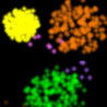 Fireworks! Color Learning Image